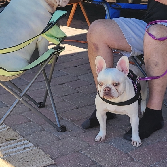 Meet your Posher...... - Picture 5 of 5